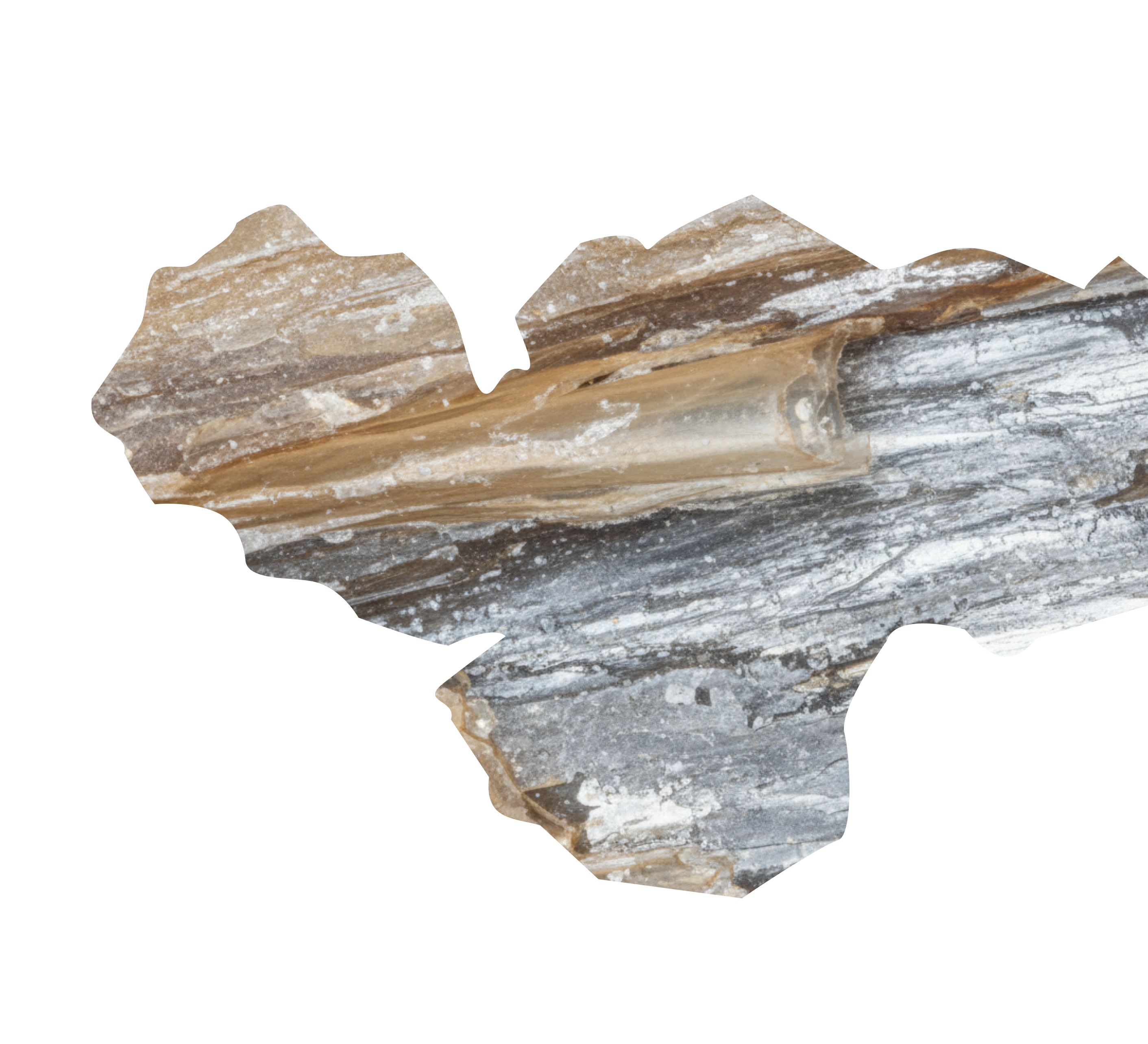 Cluster of green and purple tourmaline crystals with small clear quartz crystals on black background.