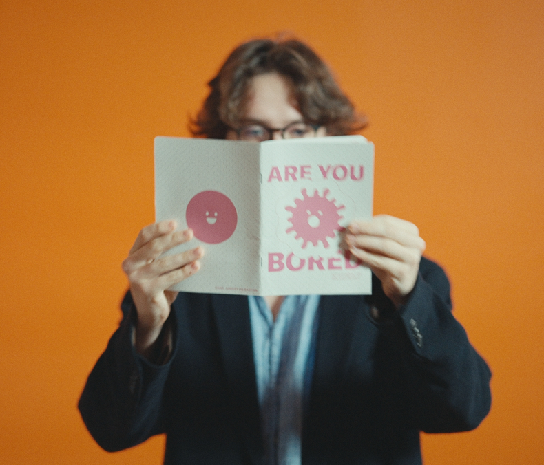 Den Skandinaviske Designhøjskole