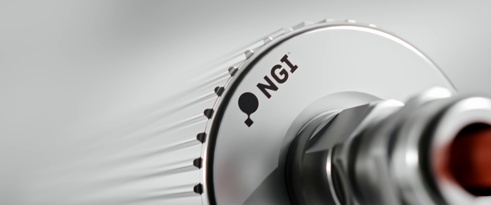 NGI