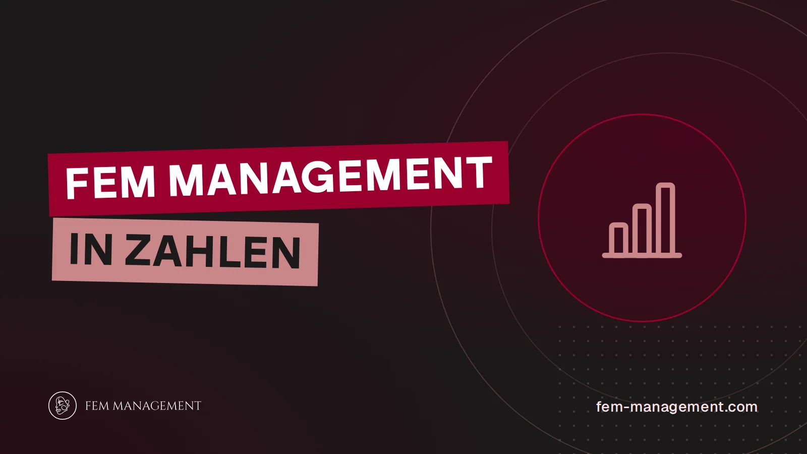 Cover image for the article FEM Management in numbers by FEM Management
