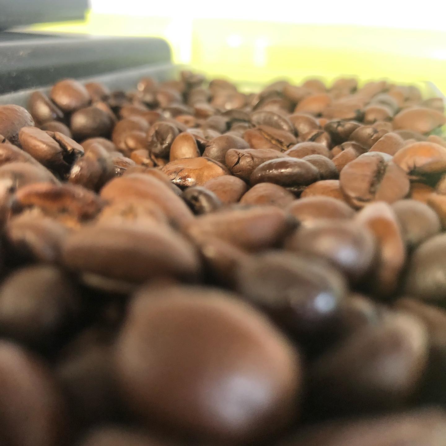 Coffee Beans