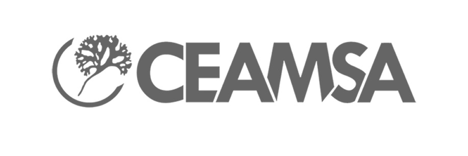 The Paak logo