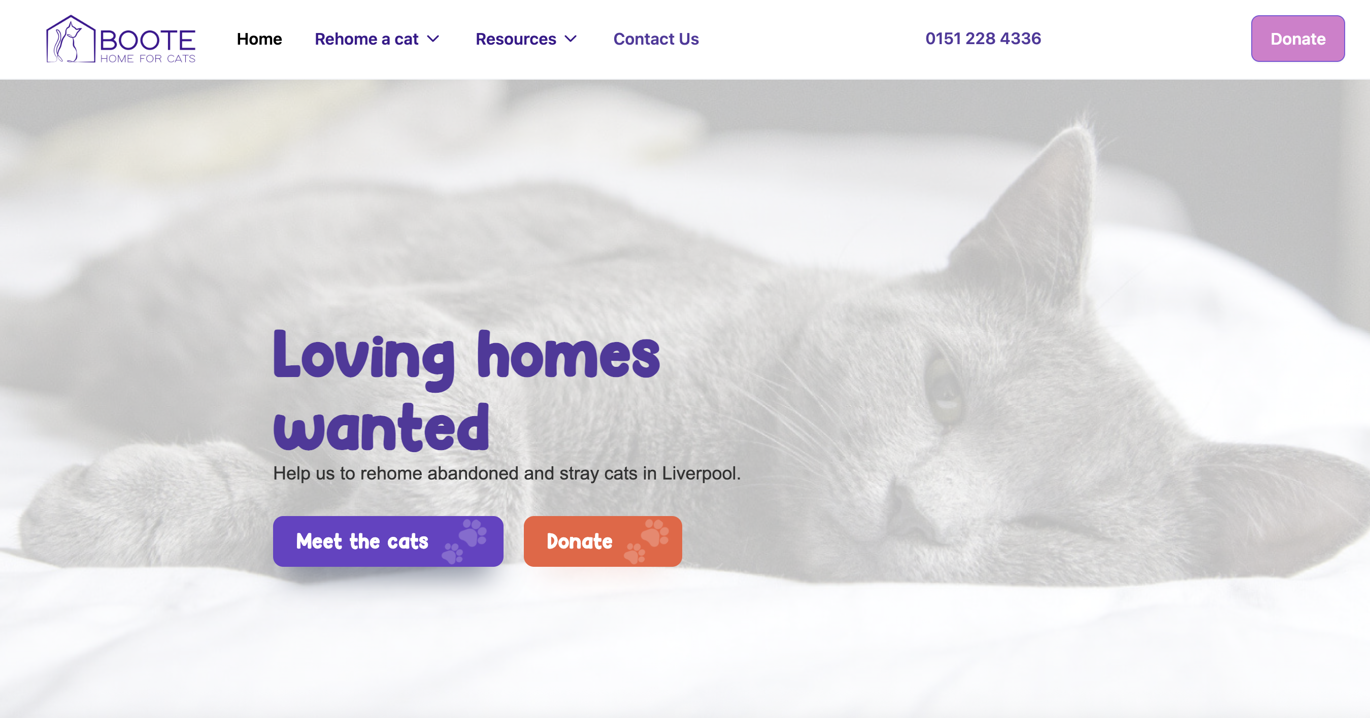 The Boote Home for Cats logo