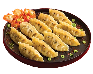 A black plate with golden-brown dumplings garnished with black sesame seeds and green onions.