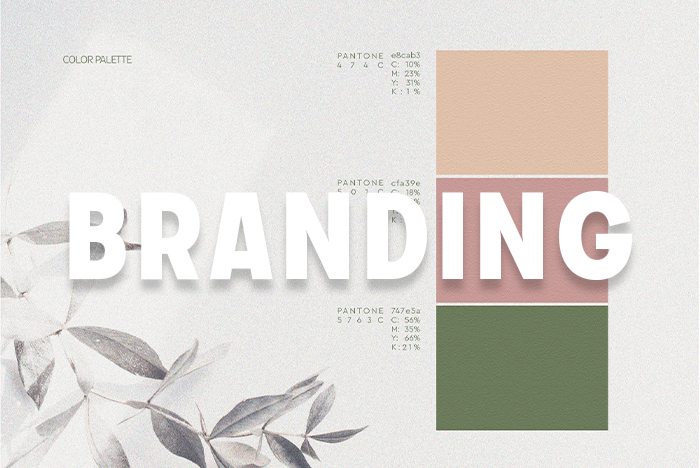 Guida Completa al Branding per PMI