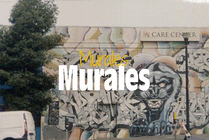 L’Arte in Azienda: come i Murales trasformano gli spazi e il Brand