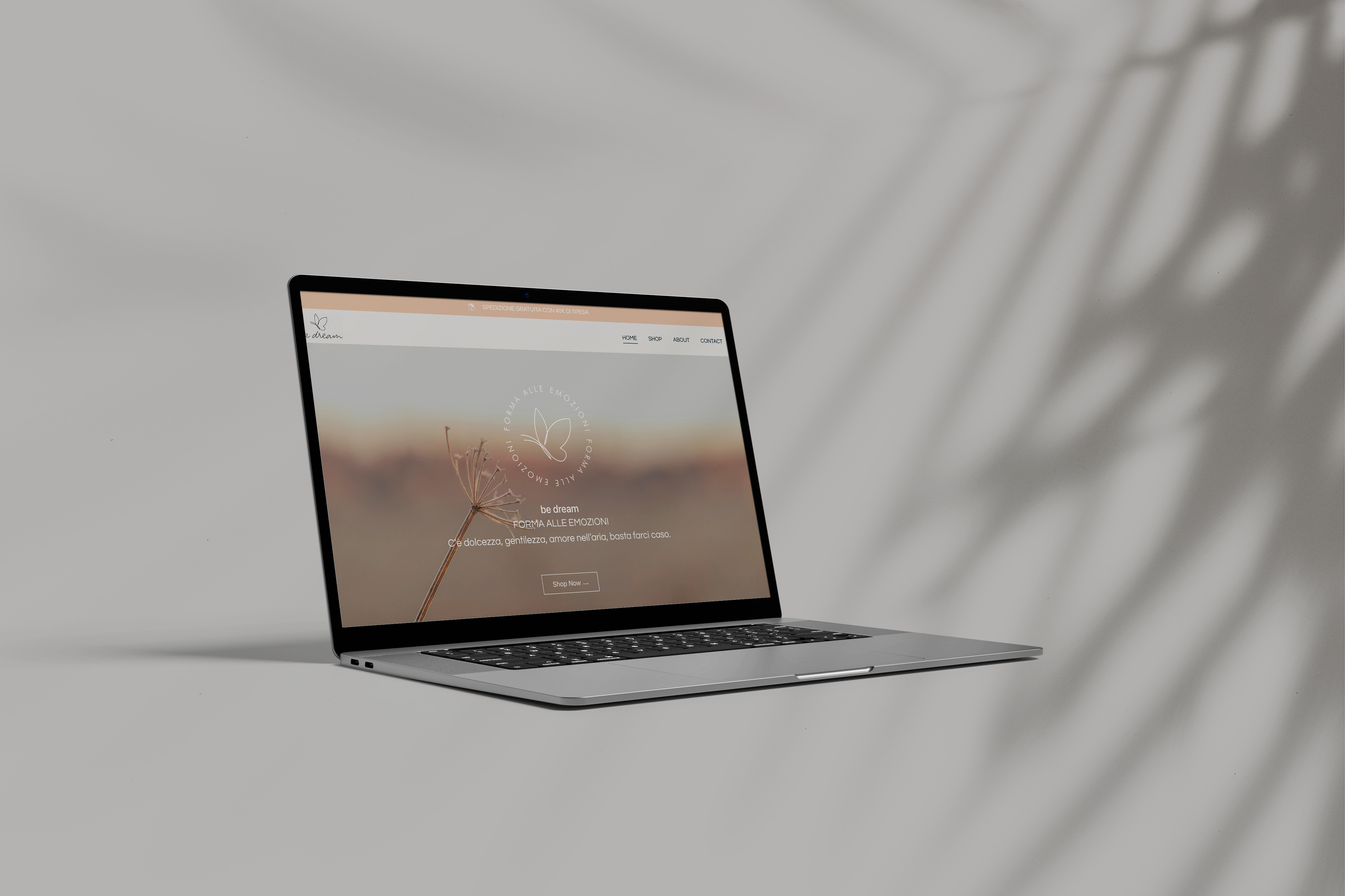 Webflow o WordPress: quale scegliere per il sito della tua azienda