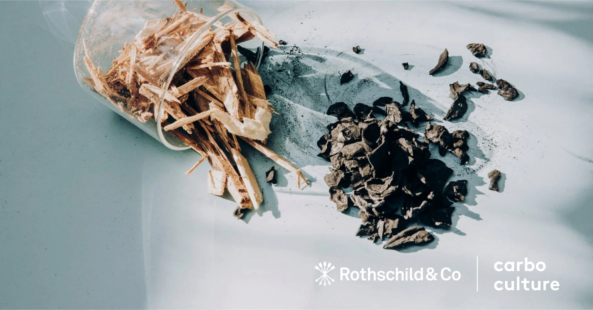 Rothschild & Co enter into a multi-year agreement with Carbo Culture for the purchase of biochar carbon credits