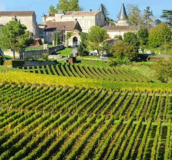 Balade immersive au cœur des vignes de Saint-Émilion lors d’un offsite directionnel organisé par INÜI Collection.