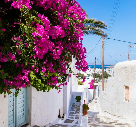 Ruelles typiques de Mykonos aux façades blanches et bougainvilliers pendant un séjour d’entreprise avec INÜI Collection.