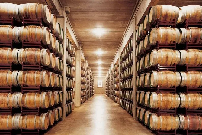 Chais et tonneaux de la Bodega Marques de Riscal visités lors d’un incentive œnologique exclusif avec INÜI Collection.