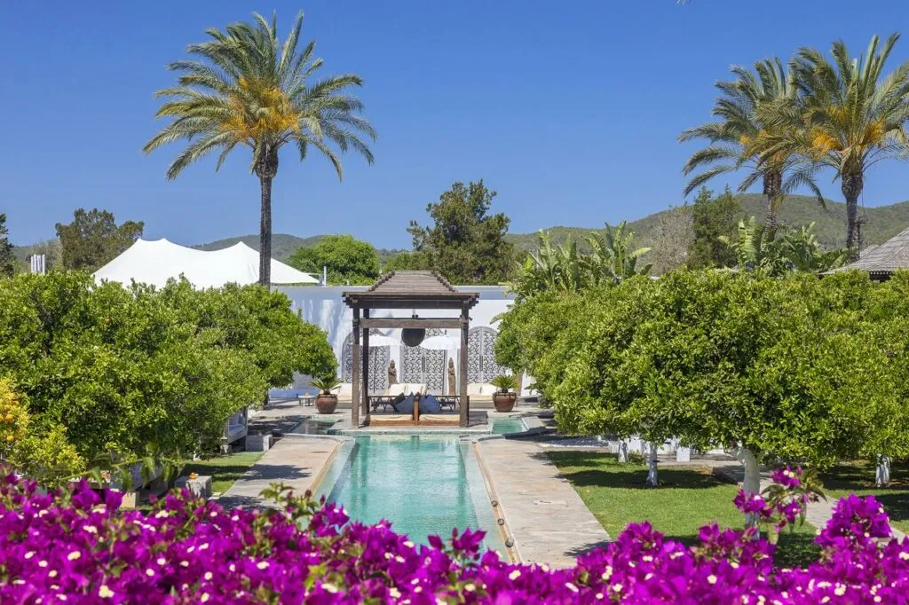 Piscine élégante entourée de végétation typique d’Ibiza pour un moment de détente pendant un incentive INÜI Collection.
