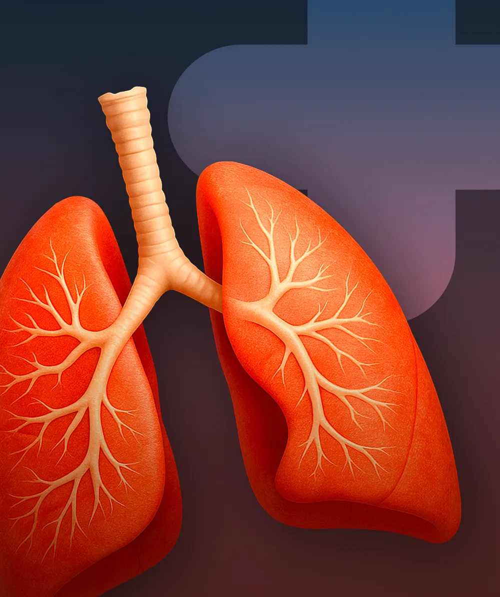 Le parcours PRADO BPCO