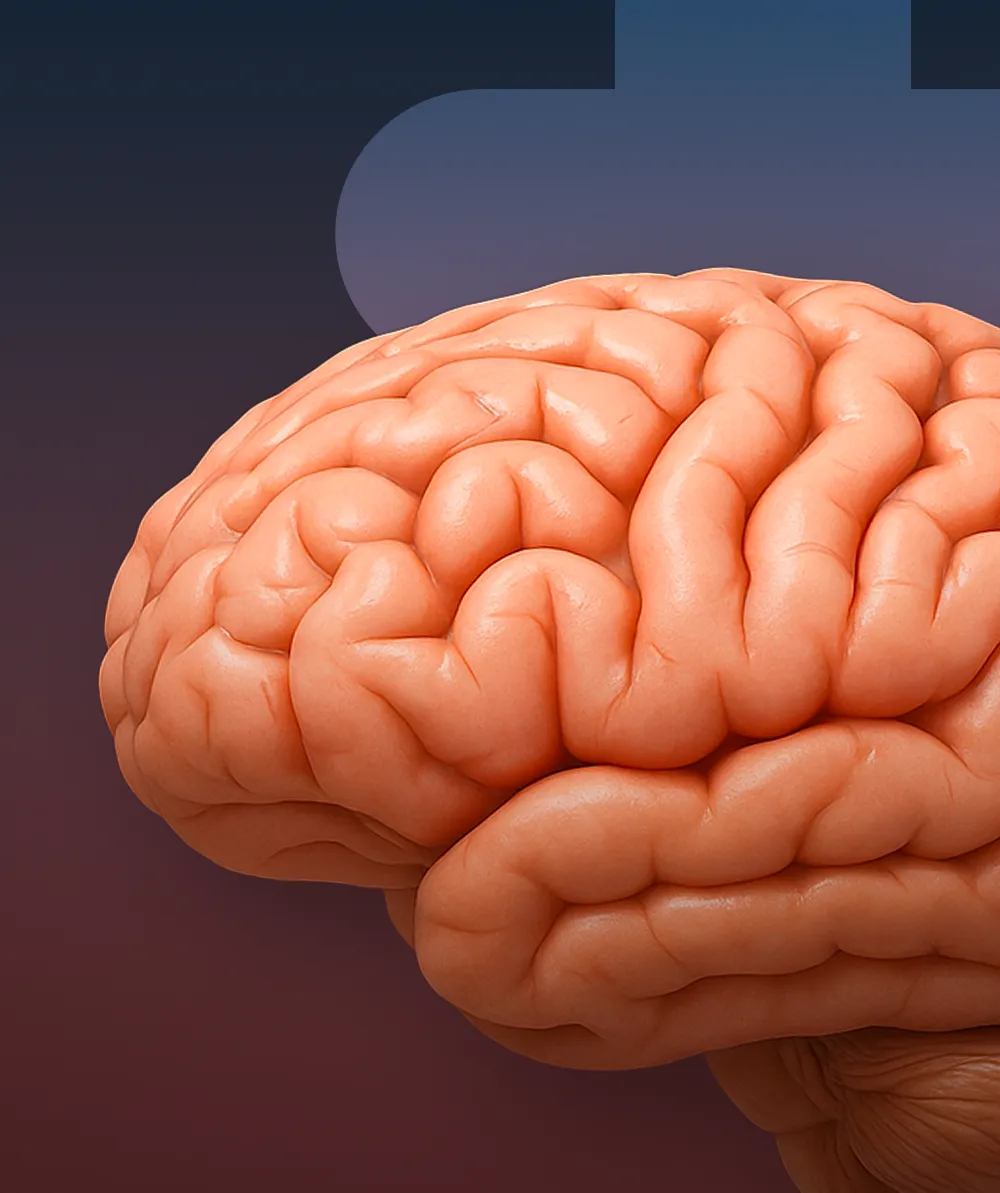 Le patient Alzheimer