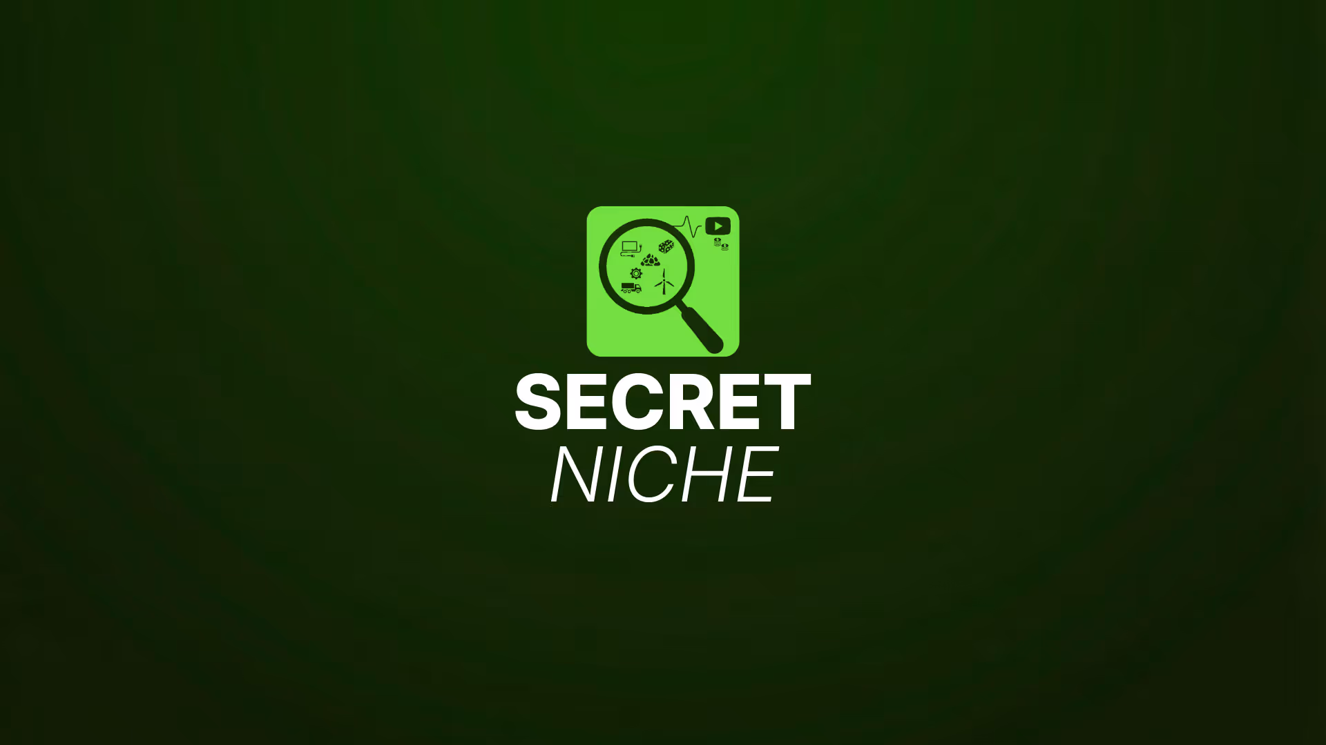 Green background with a magnifying glass icon highlighting small niche-related symbols above bold white text that reads “SECRET NICHE.”