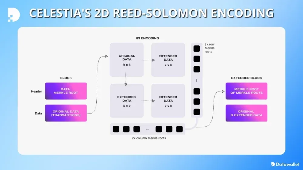 Celestia's 2D Reed-Solomon Encoding