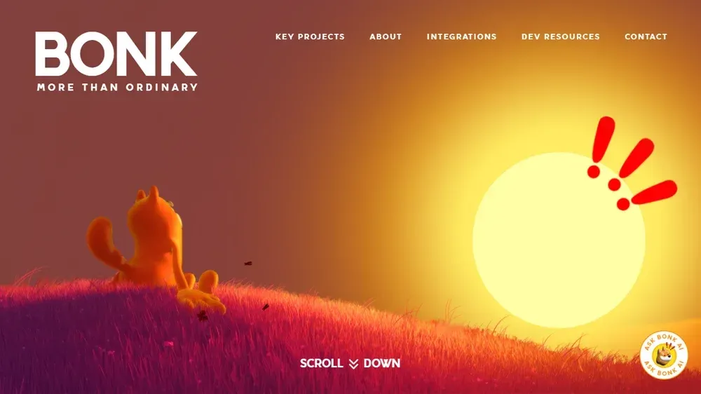 What is BONK Coin