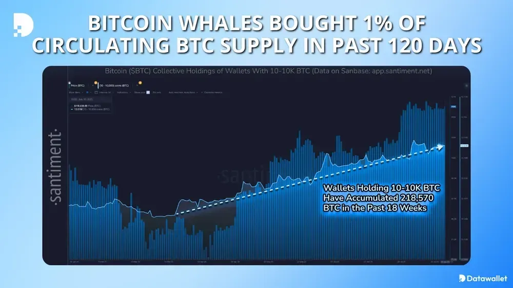 Биткойн-киты купили 1% оборота BTC за последние 120 дней