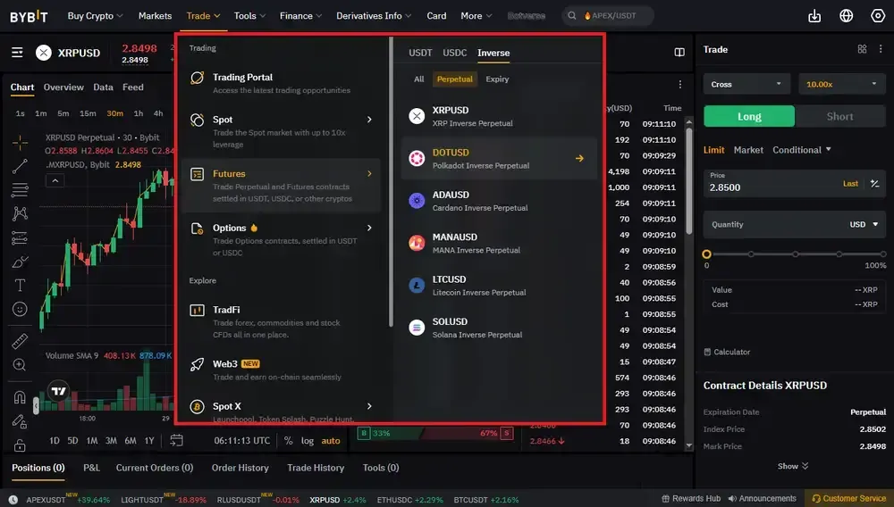 Bybit Inverse Perpetual Contracts