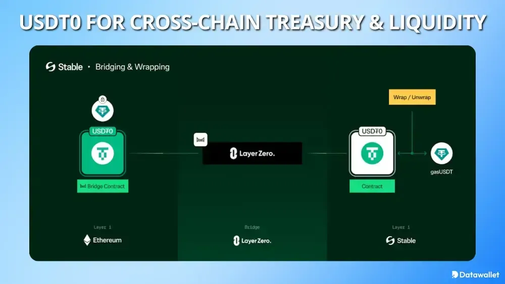 StableChain USDT0 for Cross-Chain Treasury and Liquidity