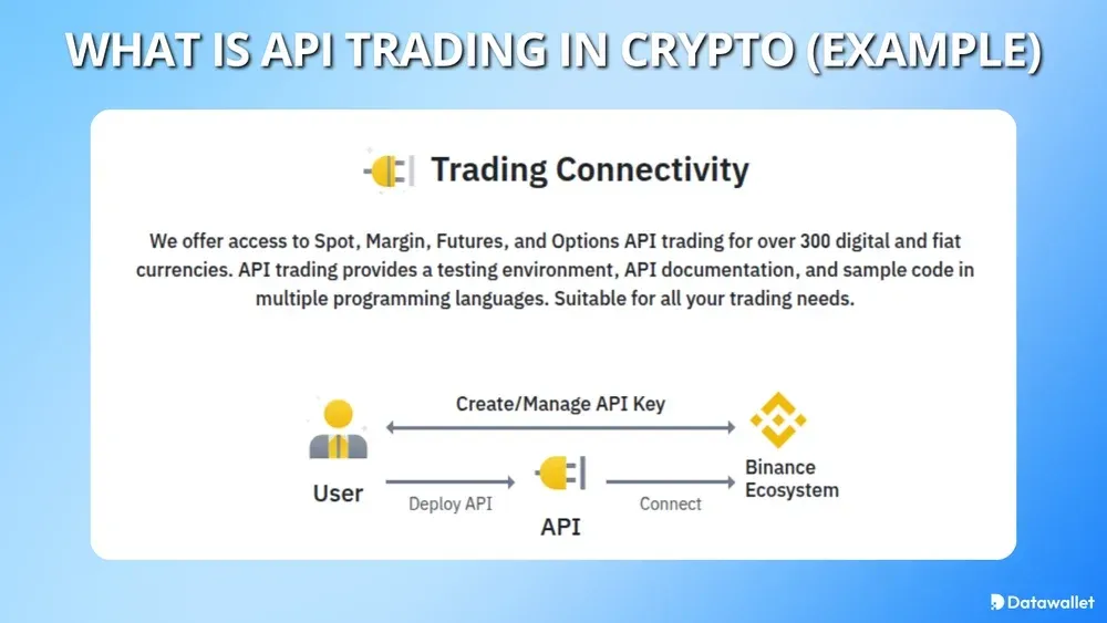 What is API Trading in Crypto (Example)