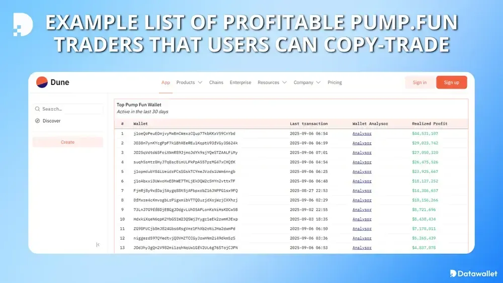 Example List of Profitable Pump.Fun Traders That Users Can Copy-Trade