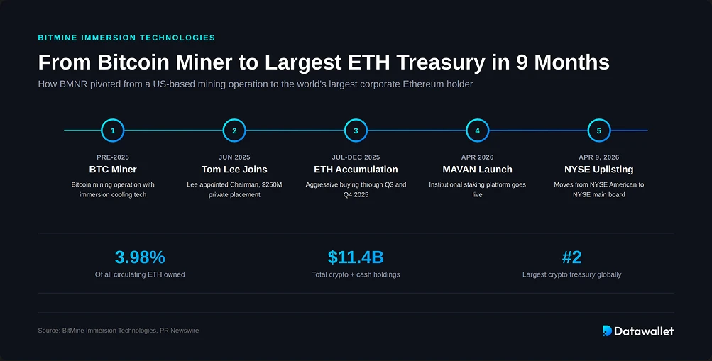 What is BitMine Immersion Technologies?
