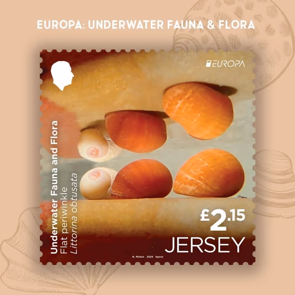 Most beautiful stamp 2024