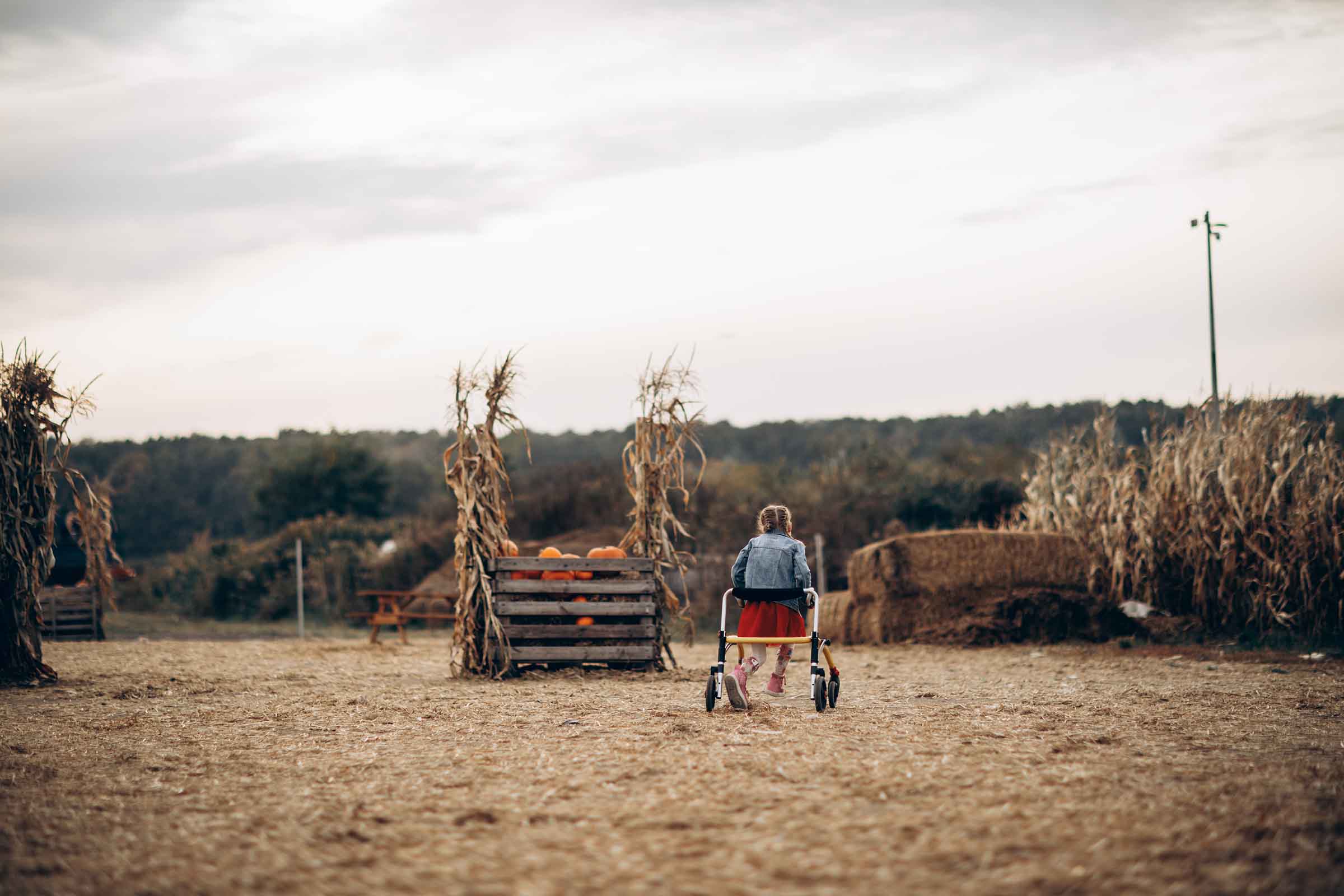 Young girl with braided hair using a walker walking through a pumpkin patch on a cloudy day.