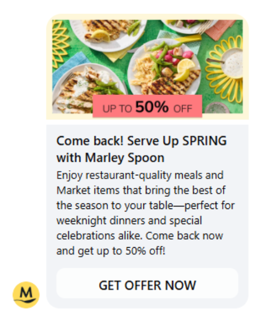 Marley Spoon Creative 1
