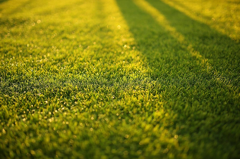 Lawn Maintenance: Professional lawn maintenance service with freshly cut grass and landscaped property in Northeast Ohio
