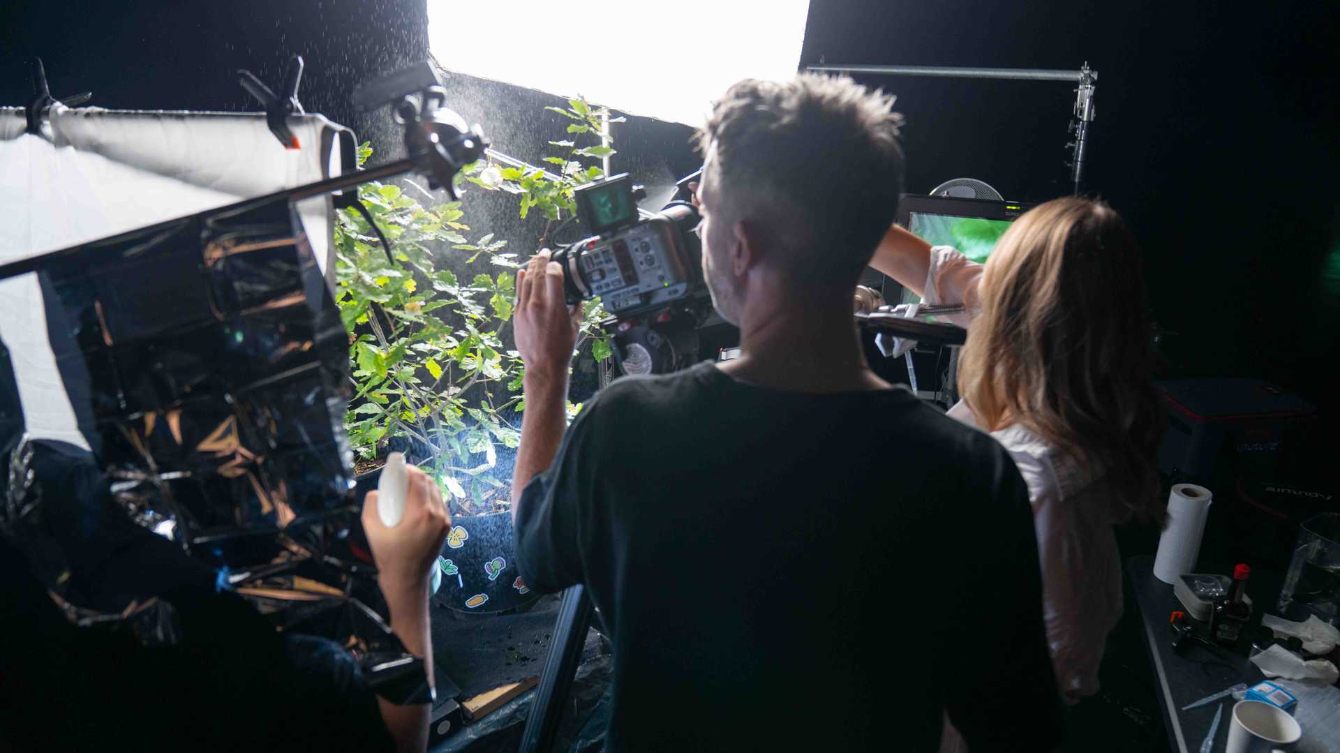 Two people filming indoor plants with a professional camera and studio lights highlighting water mist.