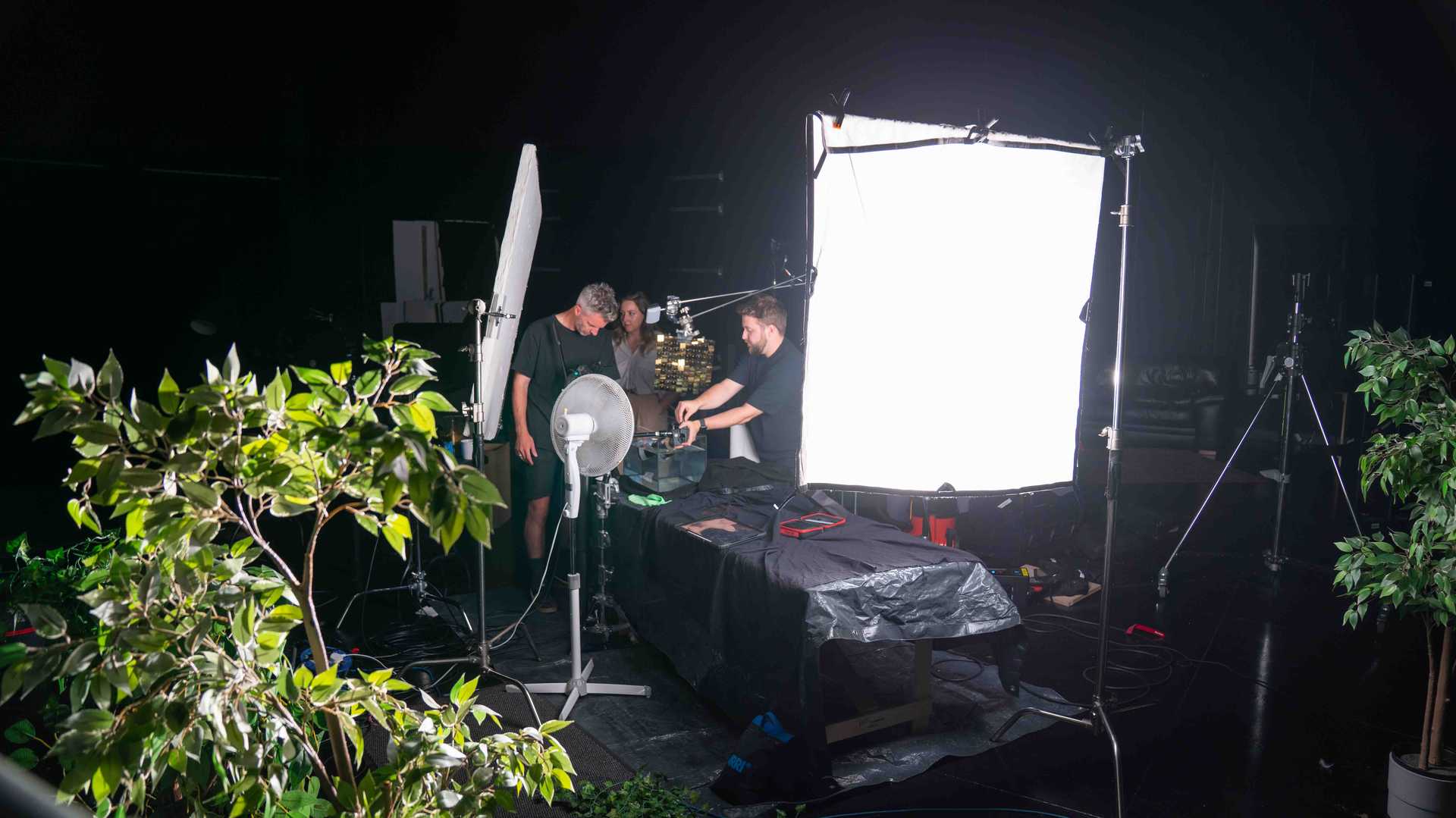 Three people working on a setup around a table with bright studio lights and a standing fan in a dark room, with potted plants in the foreground.