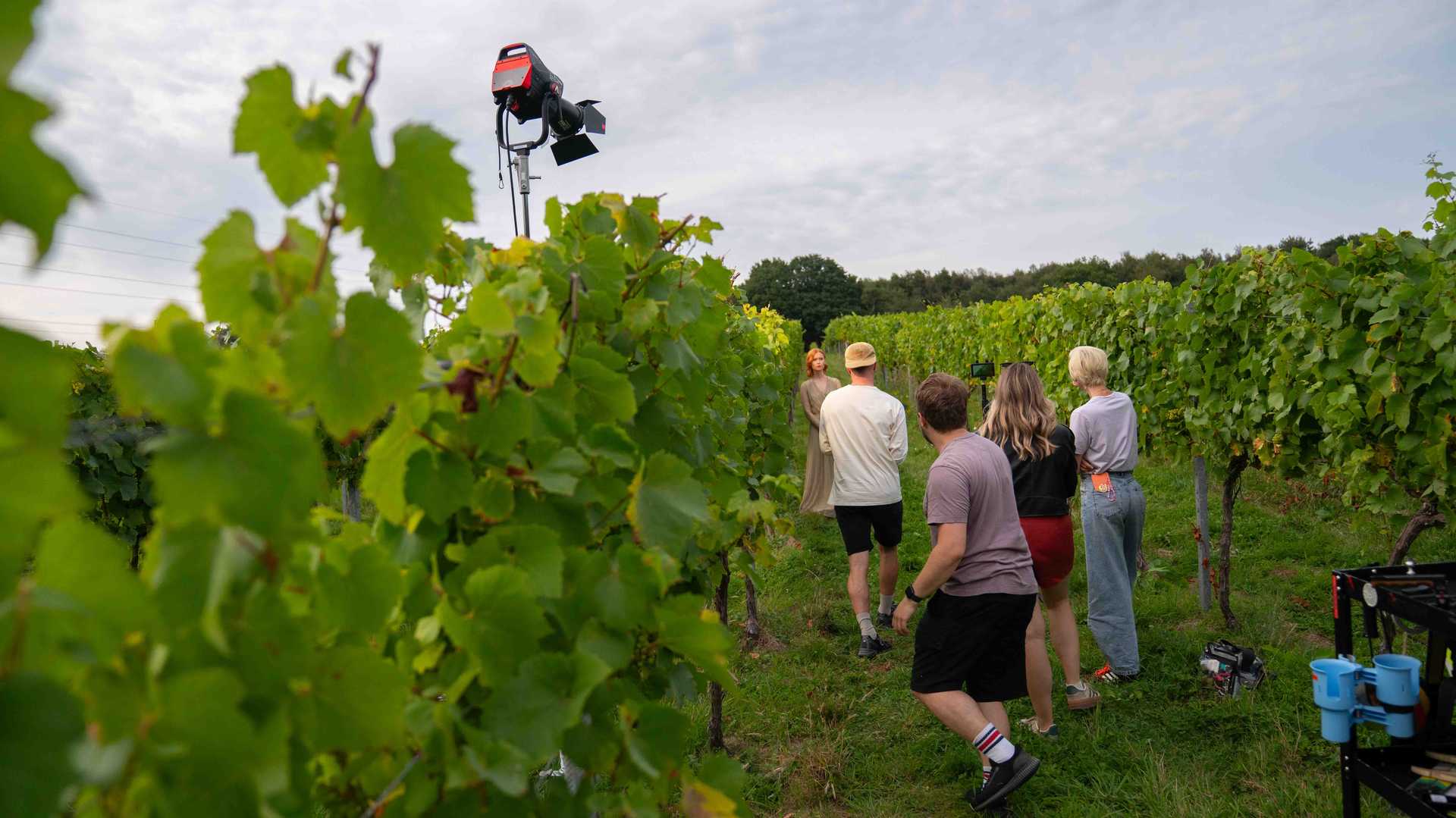 Film crew setting up a scene with a woman in a long dress standing among grapevines in a vineyard.