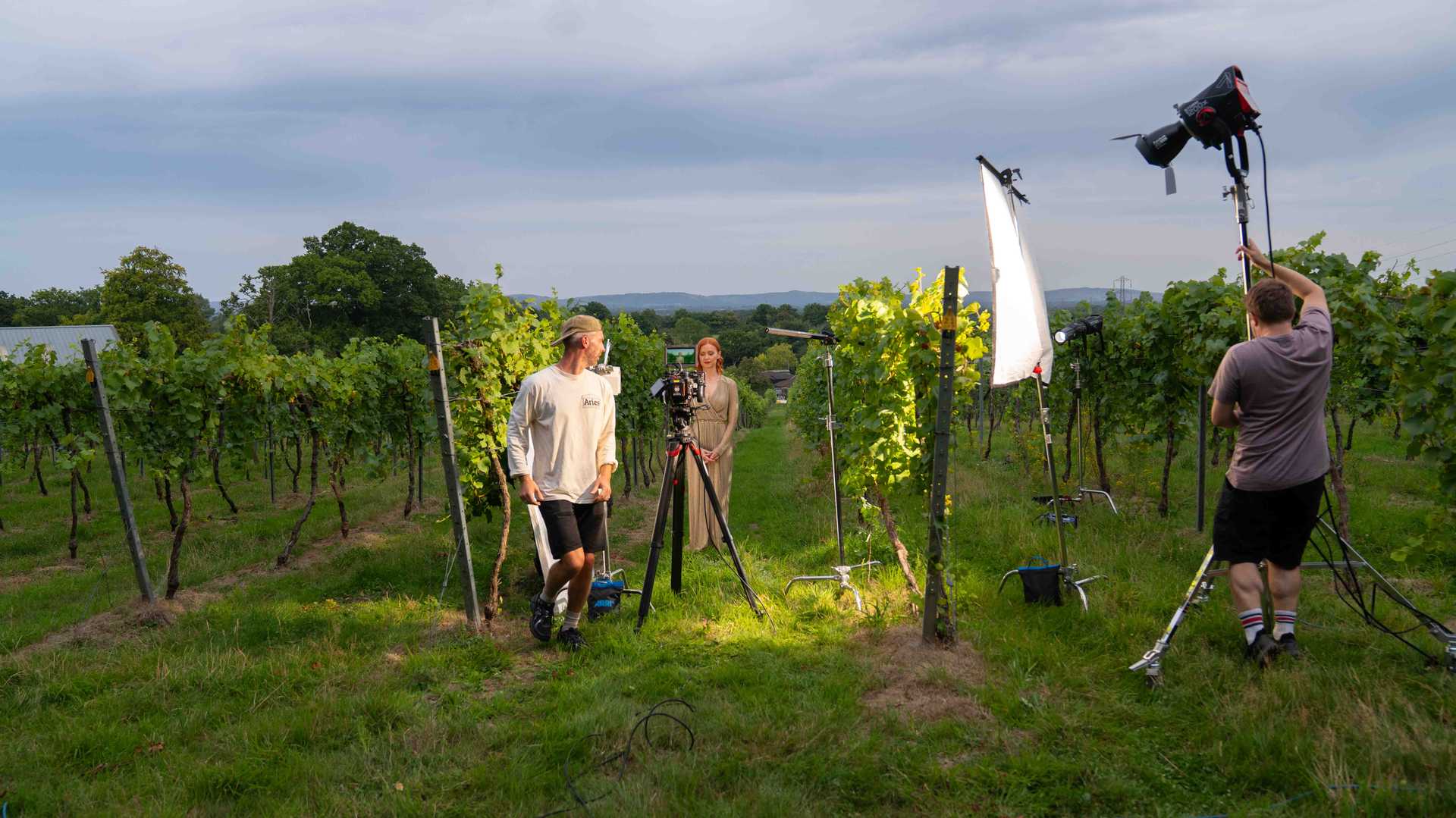 Film crew setting up camera and lighting equipment in a vineyard with a woman in a beige dress standing between rows of grapevines.