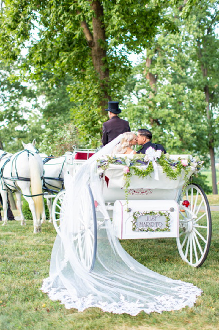 A bride in a long veil and a groom in a marine dress uniform kiss in a horse drawn carriage, while the horses take them through a field of grass surrounded by trees.