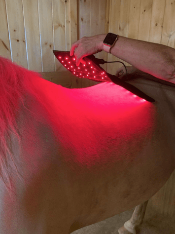 Red Light Therapy