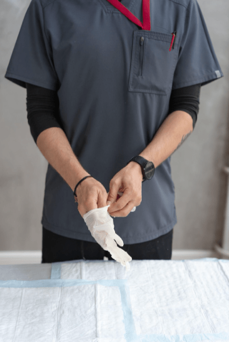 Where to Find a Qualified Acupuncturist for Your Horse