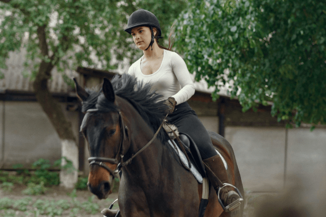 How Can I Communicate Clearly with My Horse?