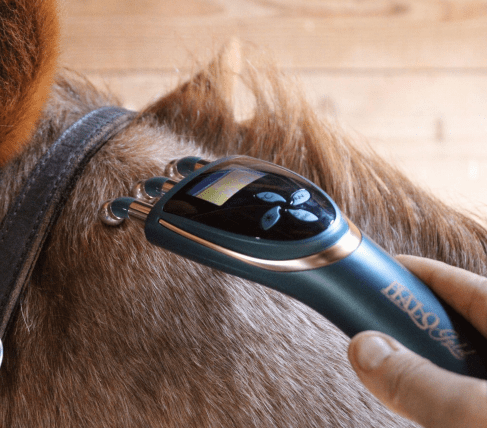 HaloGold device offers a full spectrum of therapeutic light.