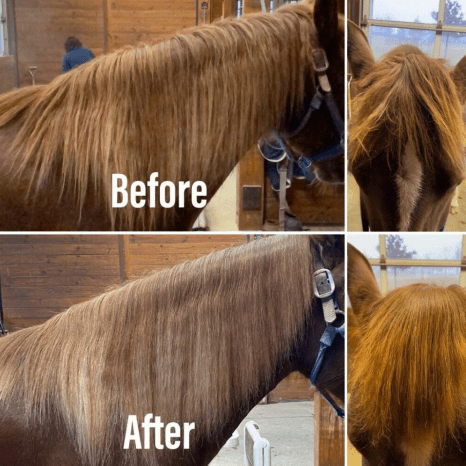 Phoenix Grooming Tool
