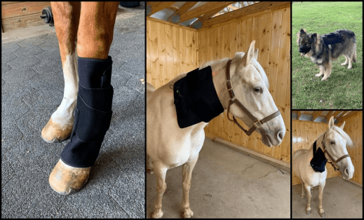 Legend Light Therapy Pad