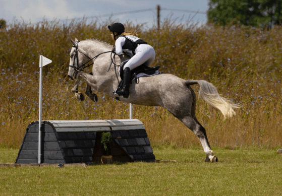 Preparing for Competition: AHolistic Checklist for Success