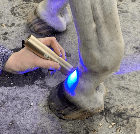 Firefly Light Therapy Device