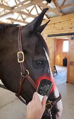 STARLIGHT-PLUS Red and Infrared Light Therapy Device