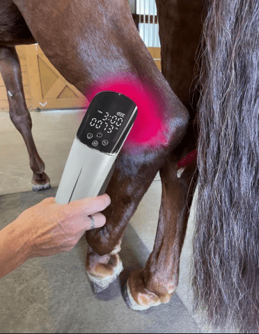 Incorporating Nogier Frequencies in Light Therapy Devices