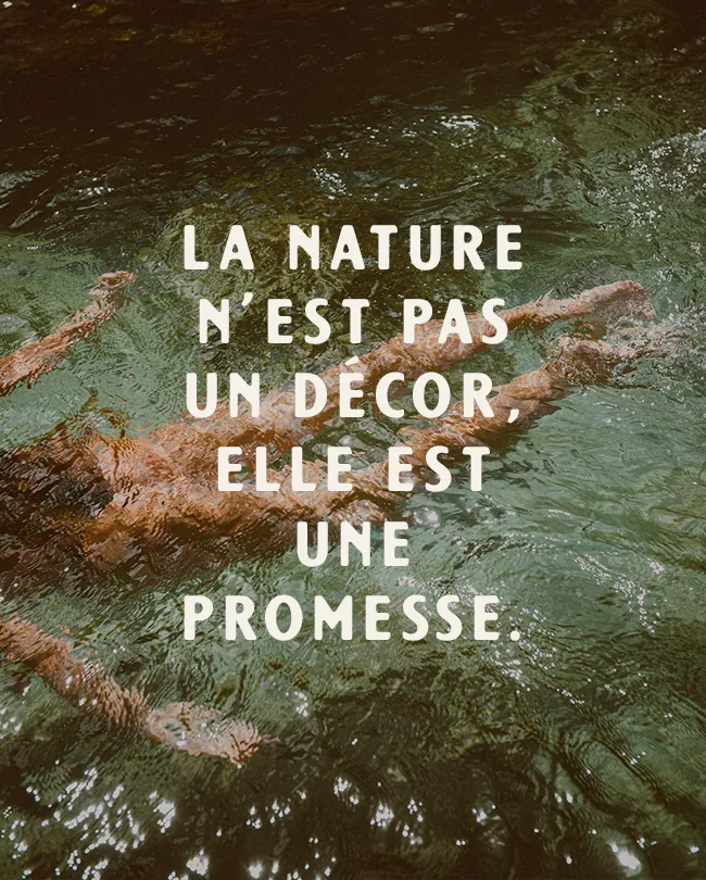 Hôtels au vert, Bonjour Sauvage