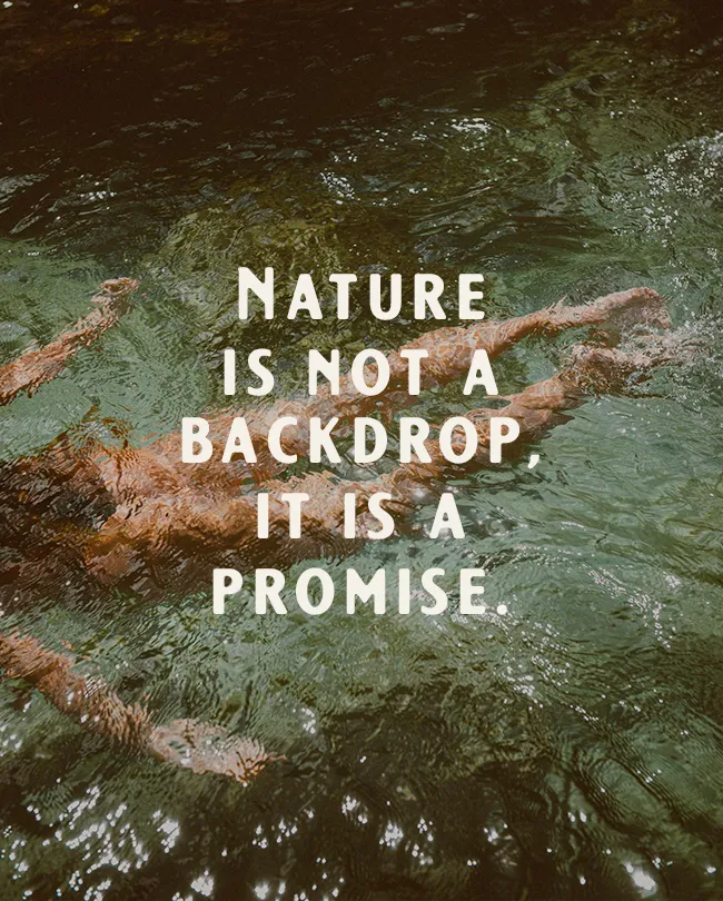 Hotels in the green, Bonjour Sauvage