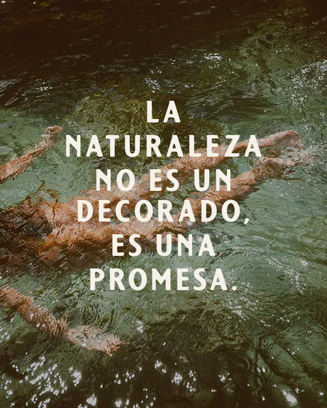 Hoteles en el verde, Bonjour Sauvage