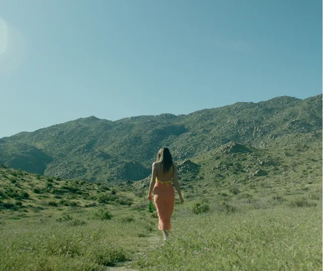 Marche dans un paysage de montagne, séjour au cœur de la nature